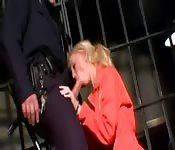 Hot chick was caught entering prison.