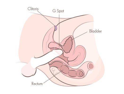 Snicky S. reccomend sex positions to target the g spot