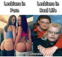 best of Lesbian life about