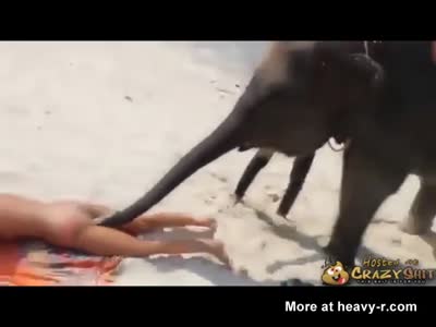 Girls getting fucked by elephant