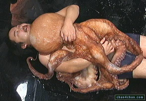 Live Octopus Porn