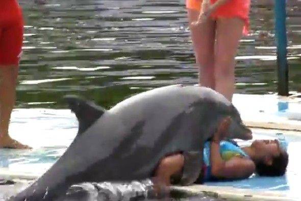 best of Dolphin orgasm with Girl having