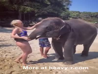 Fatty women fucked with elephant