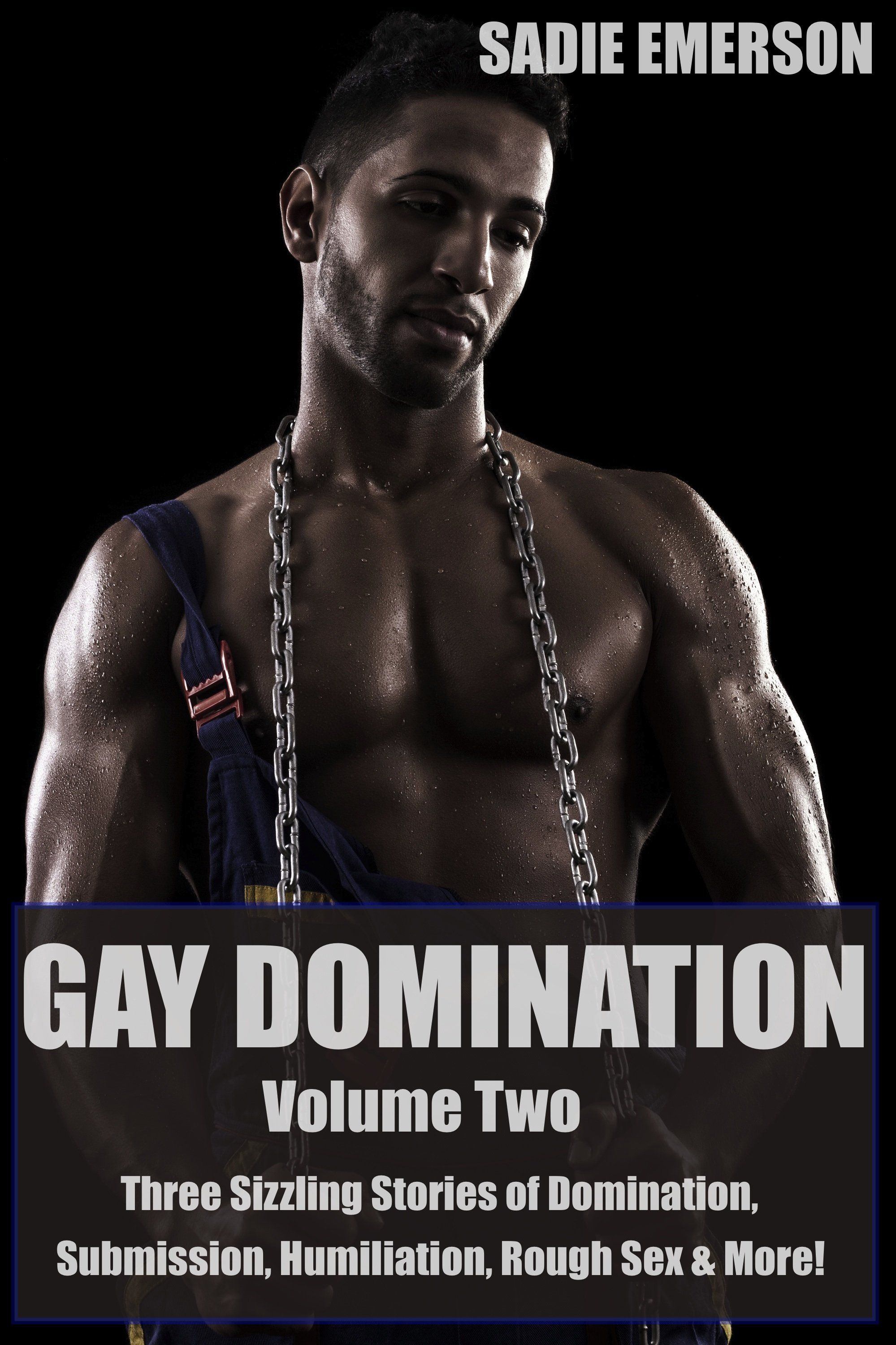 Bull reccomend Gay domination sex stories
