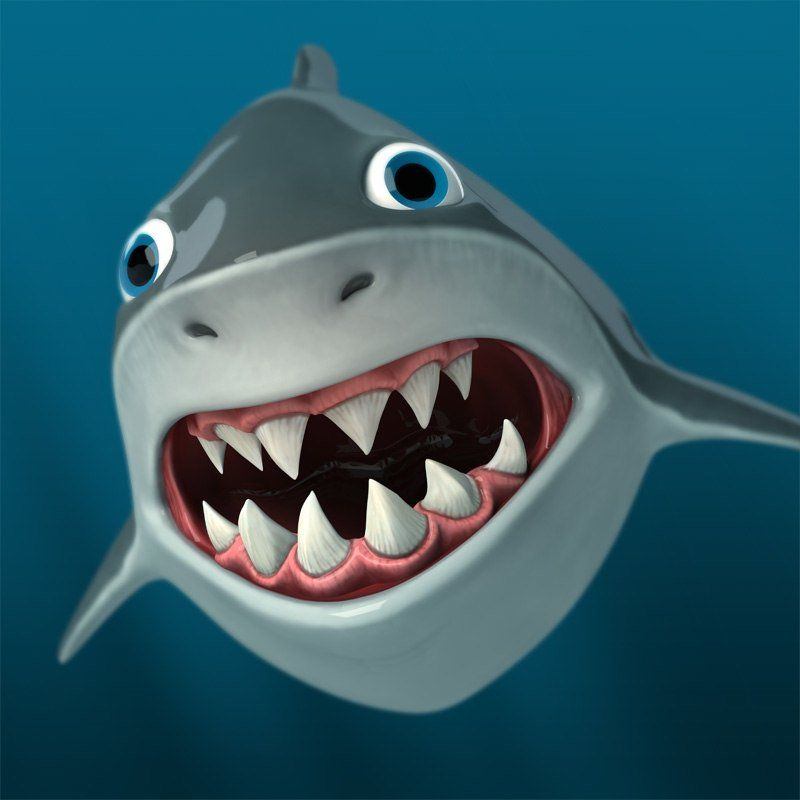 Sharks tooth chubby