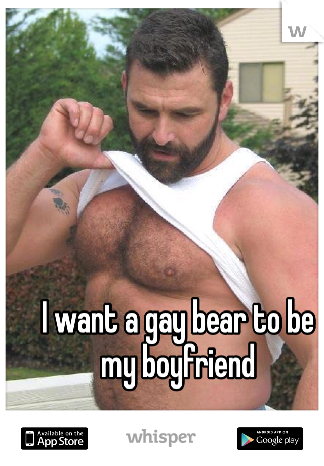 Butch C. reccomend Bear play gay