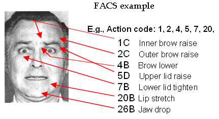 Facial action coding Facial action coding system