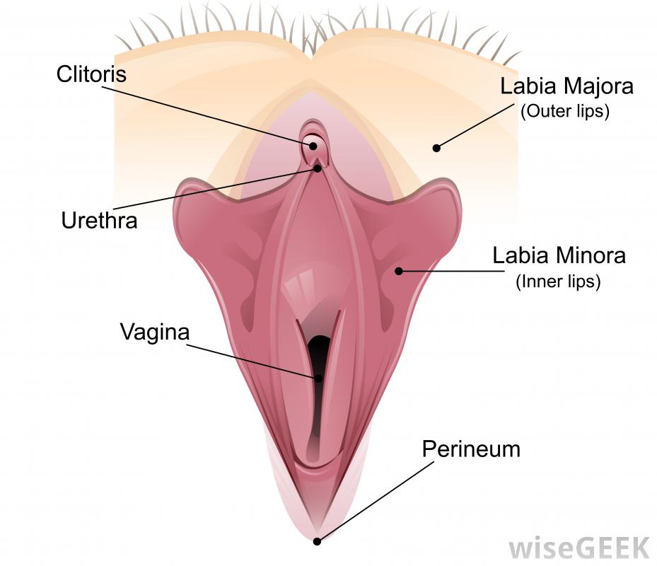 Sucking on clitoris painful urination