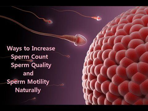 The E. reccomend Vitamin increase sperm motility and count