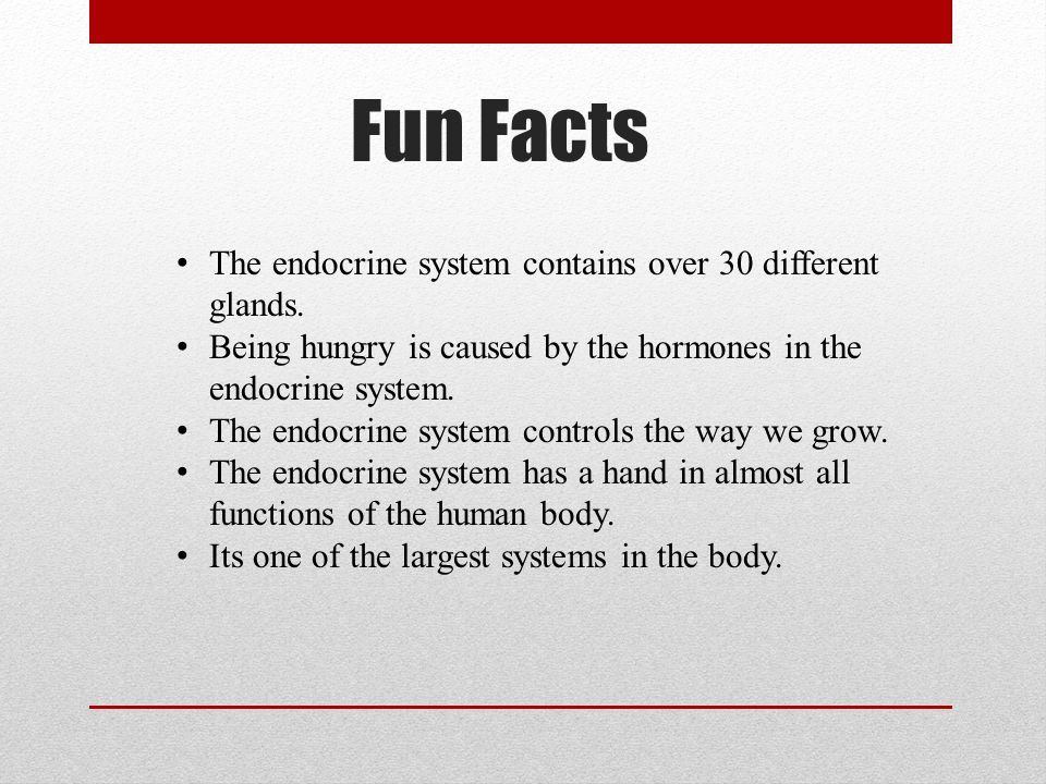 best of Endocrine facts Fun system