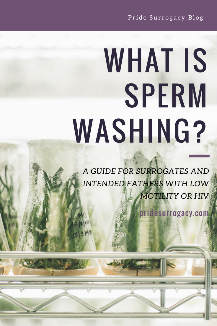 best of Of sperm washing Success