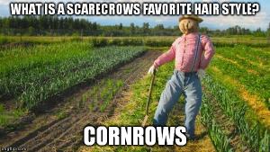 Corn row jokes