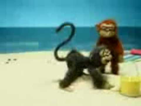 Fry S. reccomend Midnight spank monkey
