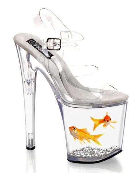 The M. reccomend Shoes high fish stripper