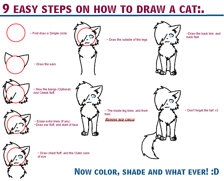 Coo C. reccomend How to draw anime cats