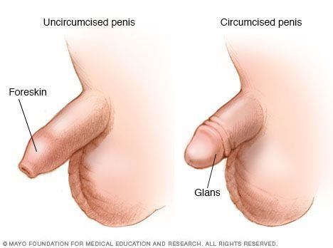 Circumcision masturbation benefitd