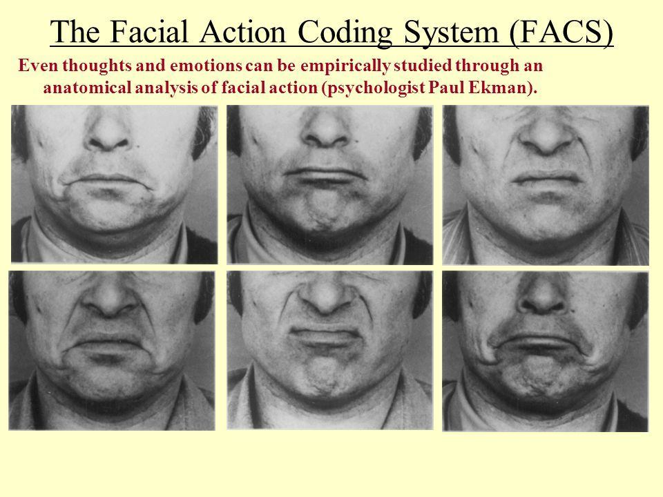 best of Action coding system coding Facial Facial action