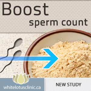 best of Increase motility and sperm count Vitamin