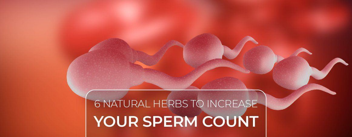 Count herb increase sperm