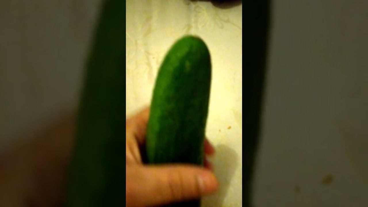 Cucumber sex tube
