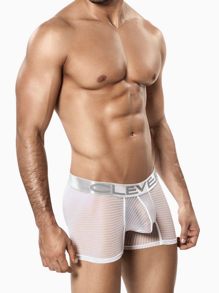 Mr. M. reccomend Erotic sheer underwear for man