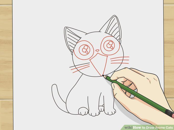 best of To anime cats draw How