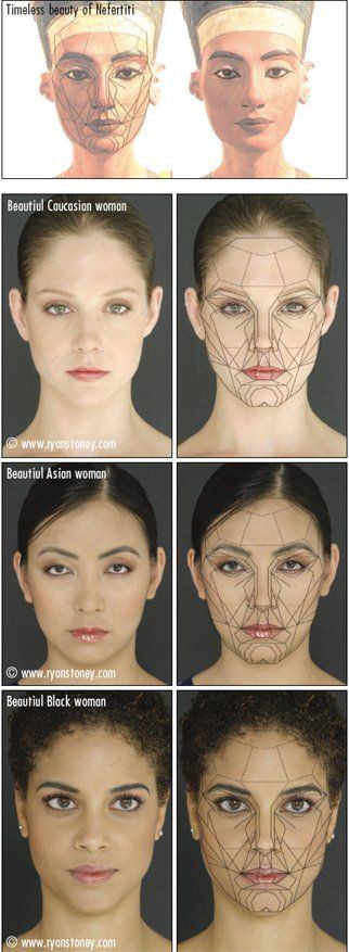 Attractive facial characteristics