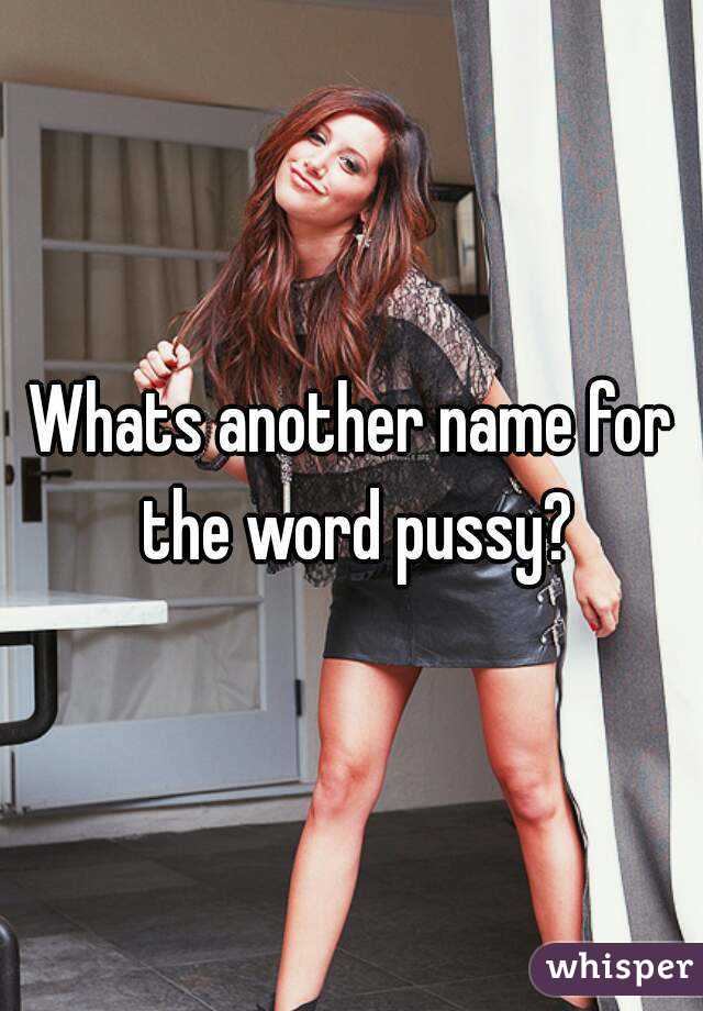 Another name for pussy