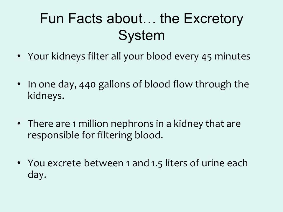 Fun endocrine system facts