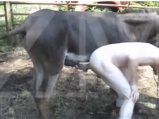 Girls having sex with donkeys pics