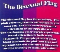 Gem reccomend Bisexual pride stores