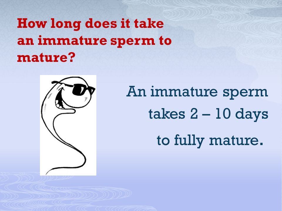 best of Sperm How long mature for to