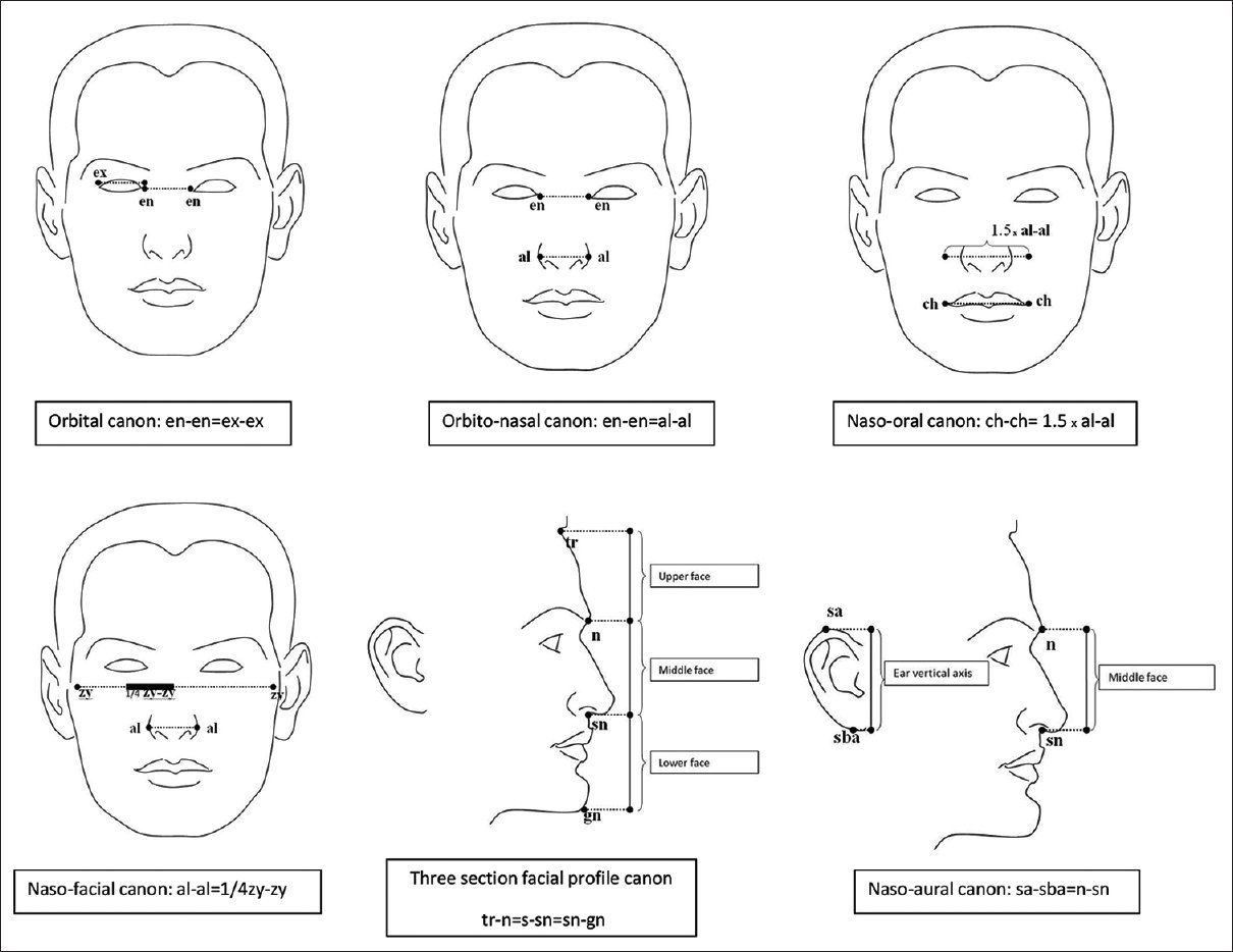 best of Structure by Craniofacial anomalies ethnicity facial