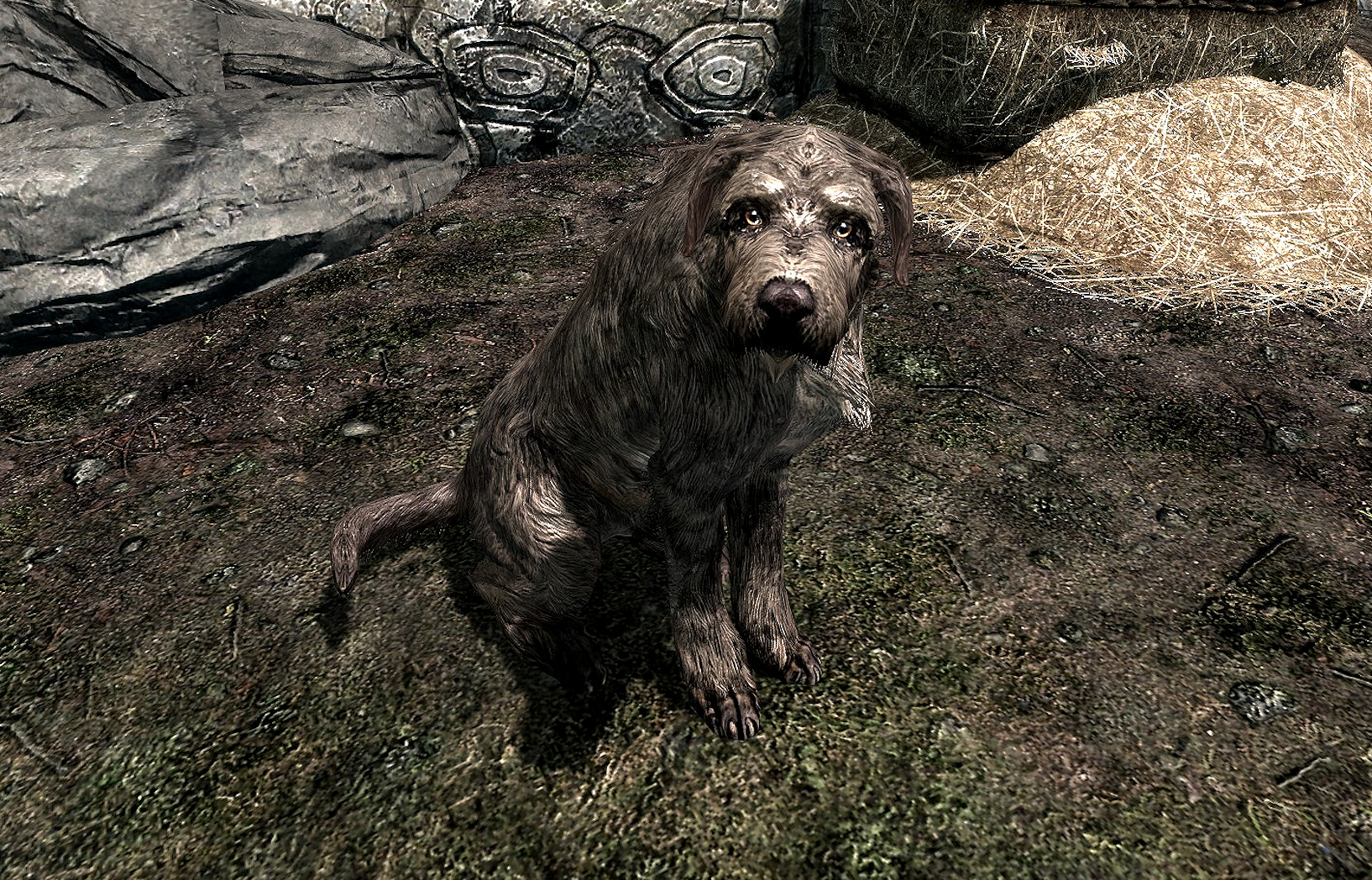 best of To dog how a Skyrim get