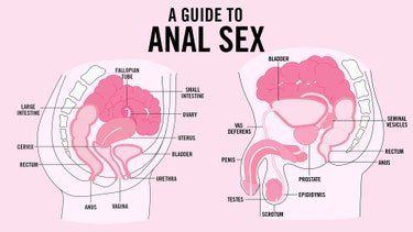 Female guide to anal sex