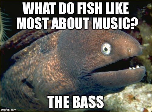 Tailgate reccomend Do fish like music