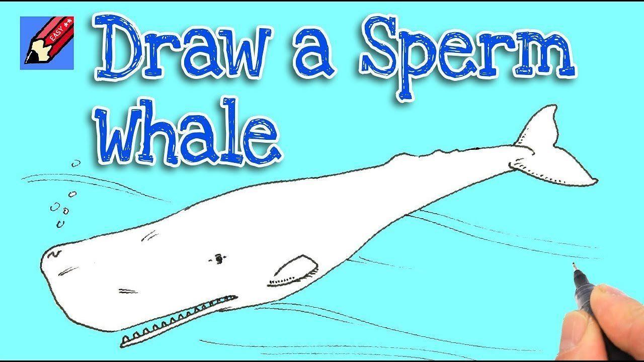 best of Whale sperm Drawing a