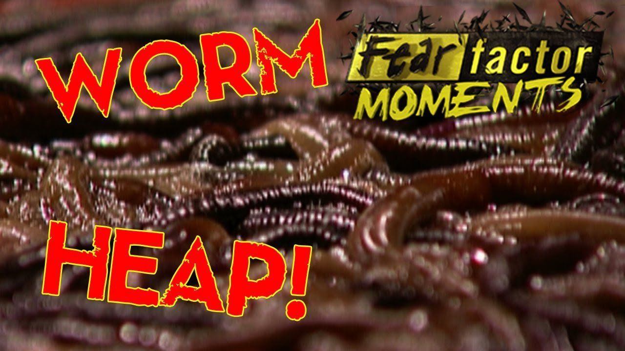 best of Bath worm Fear factor