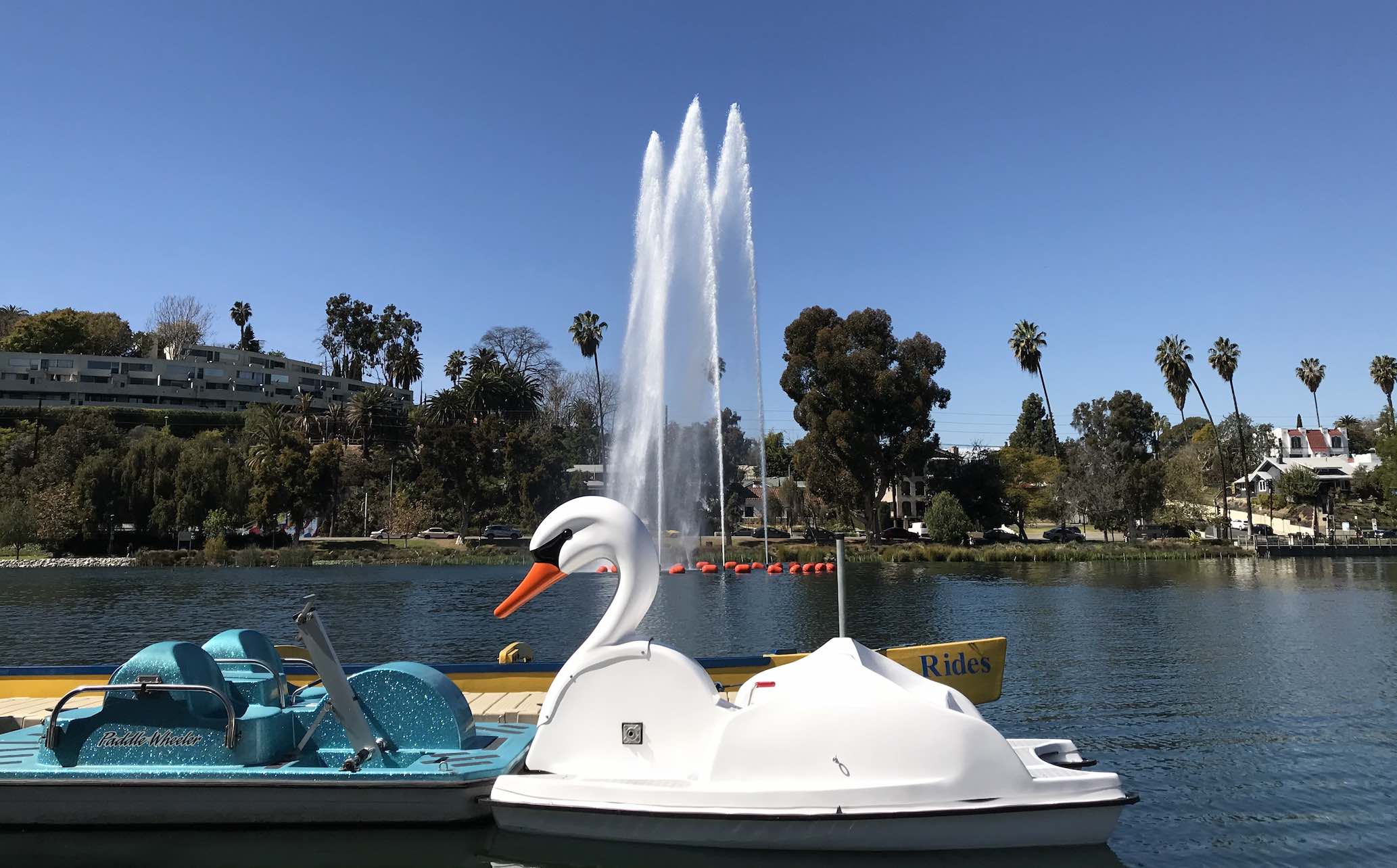 best of Paddle Echo boats park