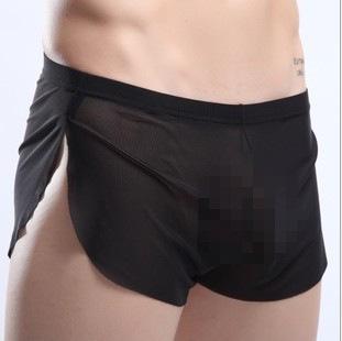 Erotic sheer underwear for man