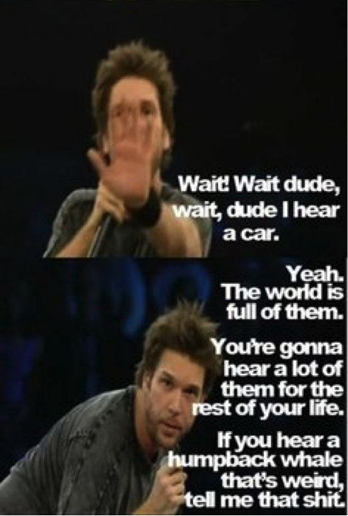 Funny dane cook quotes from vicious circle