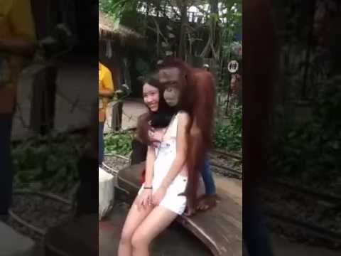 Girl and monkey sex pics