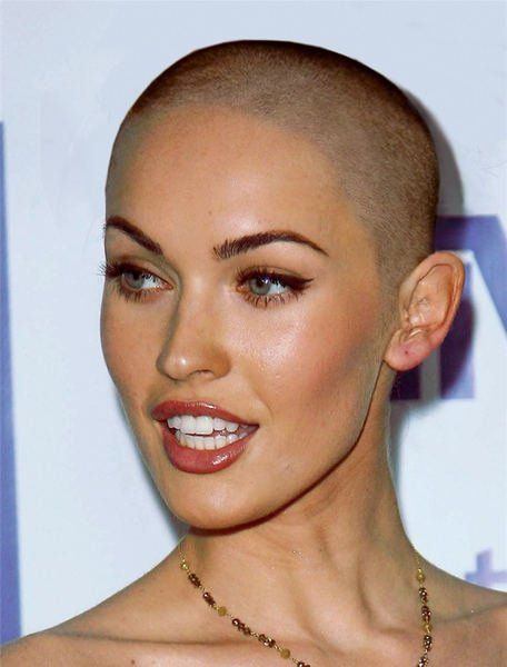best of Shaved gals Head