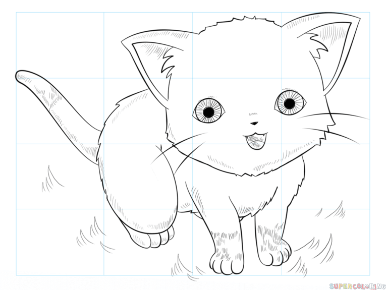How to draw anime cats