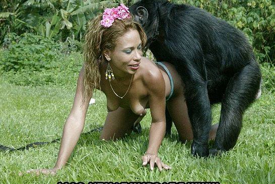 Latina Chicks Fucking Monkeys - Monkey fucking girl pic - 23 New Sex Pics. Comments: 2