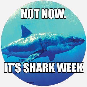 best of Week urban dictionary Shark
