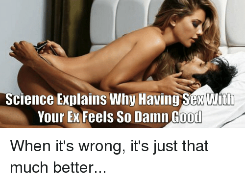 Goose reccomend Why does sex feel so good