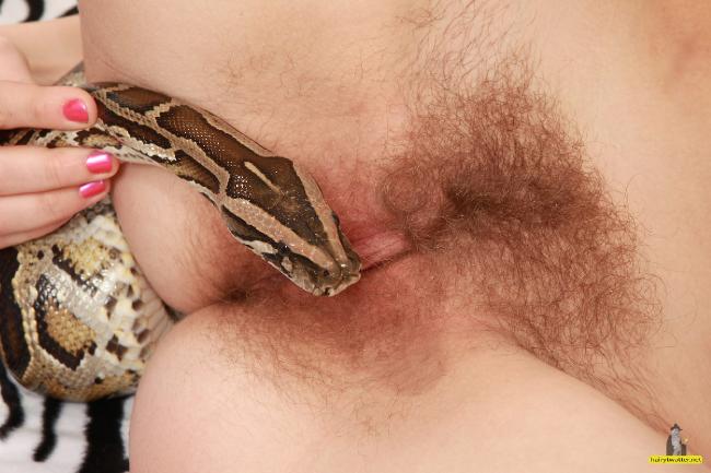 Scuttlebutt reccomend Woman snake sex video
